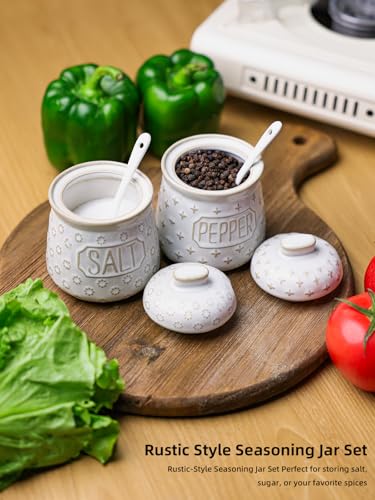 GDCZ 10 Oz Ceramic Salt and Pepper Bowls Set with Lid and Spoons (White) | Convenient Set of 2 for Kitchen, Includes Lids & Matching Spoons, 10oz Capacity, Embossed Texture - color: White