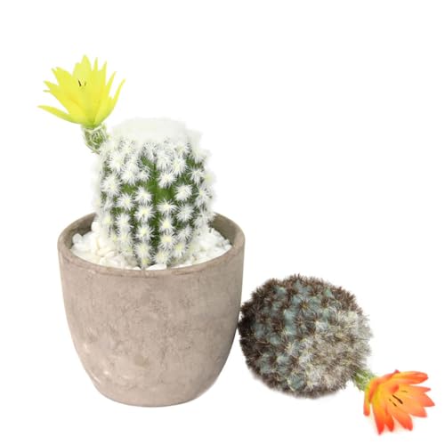 Set of 3 pcs Artificial Cactus Succulent Plants Faux Cacti Plant for Home Decor Flower Arrangement