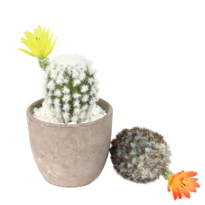 Set of 3 pcs Artificial Cactus Succulent Plants Faux Cacti Plant for Home Decor Flower Arrangement