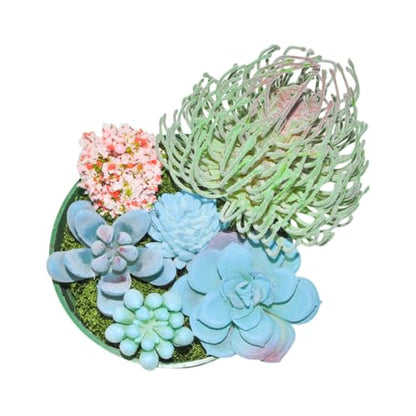 7PCS Flocked Artificial Succulents Set Faux Succulent Plants with Fake Christmas Tree Moss Artificial Cactus Greenery Low Maintenance Fake Plants DIY Craft Home Office Christmas Table (Blue) - color: Blue