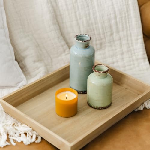 Dignity Series Vetiver & Tonka Scented Candle - 35 Hour Burn | Made in the USA Luxury Clean Soy Wax Candles - Long Lasting Matte Gold Glass Jar Candle for Home - 1 Wick - 5.3oz - color: Vetiver + Tonka