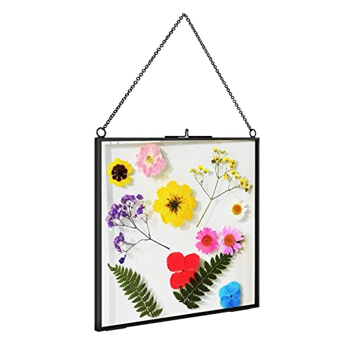 TLBTEK Black 8x8 inch Brass Hanging Photo Frame,Double Glass Frame for Pressed Flowers,Clear DIY Vintage Artwork Display Frame Wall Mounted Photos Frame - color: 8 x 8 Inch-Black