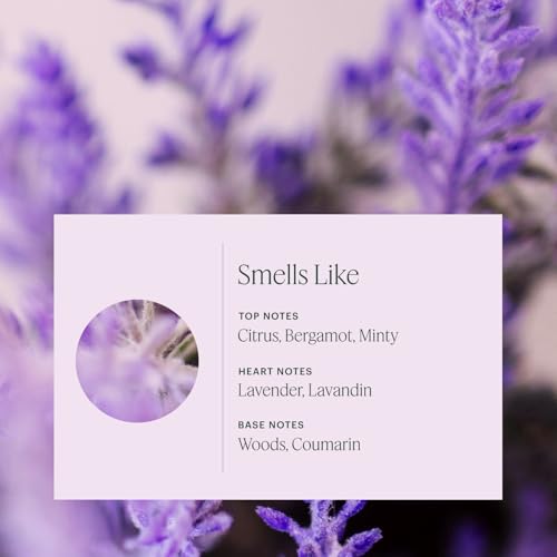 Aera Home Hygiene Lavender & Bergamot Diffuser Fragrance Refill - 25ml | Notes of Lavender, Lavandin and Wild Mint, essential oil, aromatherapy, Alexa Compatible, works with Aera diffuser