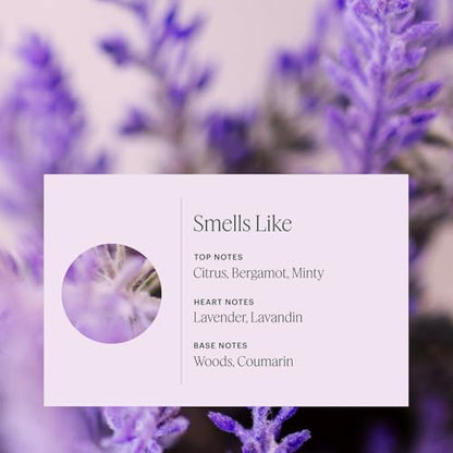 Aera Home Hygiene Lavender & Bergamot Diffuser Fragrance Refill - 25ml | Notes of Lavender, Lavandin and Wild Mint, essential oil, aromatherapy, Alexa Compatible, works with Aera diffuser