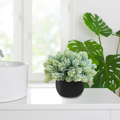 Winlyn Set of 3 Artificial Succulent Plants in Black Concrete Pots Faux Aloe Hops String of Pearls Potted Plants Small Fake Plants Desk Plants for Home Office Desk Kitchen Bathroom Shelf Windowsill - color: Black Pots
