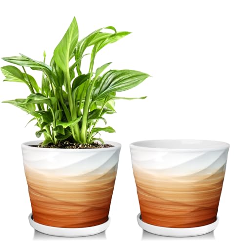 6 Inch Plant Pot,Ceramic Planter with Drainage and Saucer,Ceramic Pots for Plants,Indoor Plant pots,planters for Indoor Plants(6.7 in Diameter,2 Pack) - color: Khaki + White, size: 6.7 Inch-2 Pack