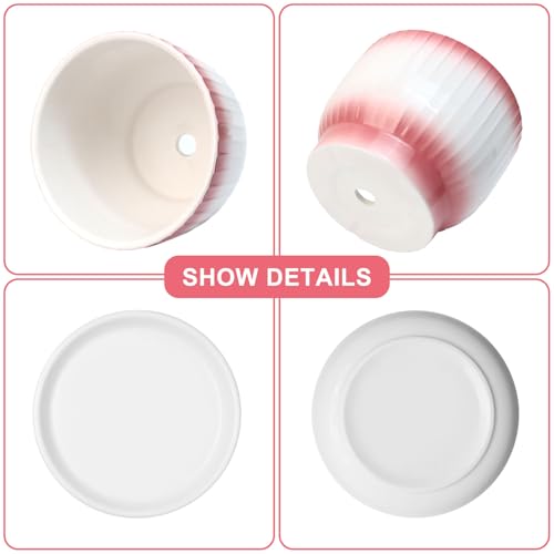 6.7 + 5.5 Inch Ceramic Plant Pots,Set of 2,Planters with Drainage Hole and Saucer,Flower pots for Indoor Plants,Elegant Design(Pink + White, - color: Pink + White