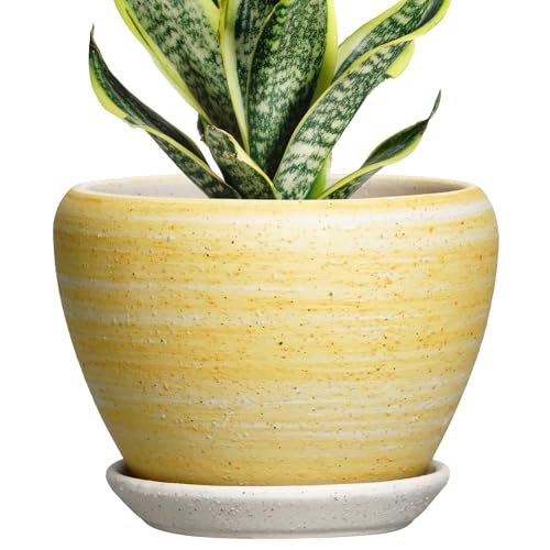 Ceramic Planter - 6 Inch Plant Pots for Indoor Outdoor Plants, Modern Indoor Flower Pots with Drainage Hole and Saucer, Round Planter, Bathroom Decor, House Warming Gifts, Textured Yellow - color: Textured Yellow, size: 6 Inch