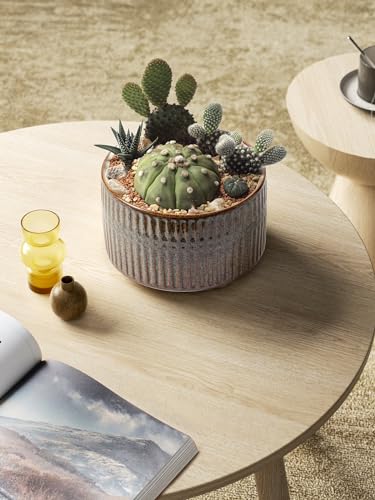 LE TAUCI Succulent Pots, 6.5+8 Inch Ceramic Pots for Plants Indoor, Shallow Round Succulent Planters with Drainage Hole, Set of 2, Reactive Glaze Black - color: Reactive Glaze Black