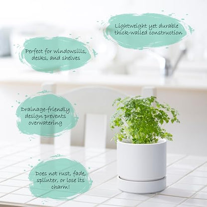 Phoenix Vine 4 Inch Planter Pot with Drainage Hole & Saucer, Deep Water Catch Tray, Straight Cylindrical Round Pot for Plants, Matte White, Pack of 3, 23-B-R-3 - color: Matte White, size: 4" (3 Pack)