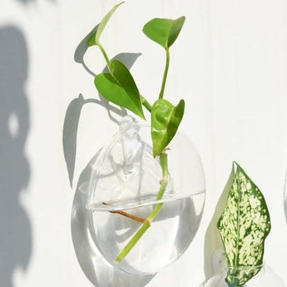 Vumdua 6 PCS Glass Wall Hanging Planters for Flowers, Hydroponics, Indoor Use, Medium, Transparent, Round, Classic Style