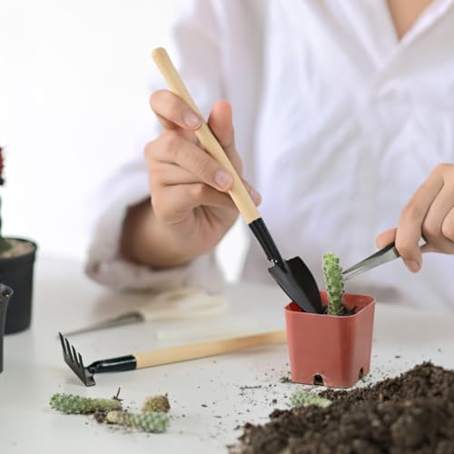DOITOOL 6pcs Mini Gardening Tools Set with Wood Handle – Mini Trowel, Rake Shovel for Planting, Transplanting, Weeding – Compact Hand Tools for Bonsai and Indoor Outdoor Garden Use