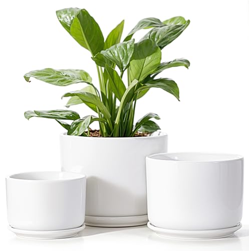 EFISPSS Plant Pots, 4+5+6 Inch Pots for Indoor Plants, Ceramic Planter Pot with Drainage Hole, Flower Pots for Succulent Cactus, Set of 3 - White - color: White