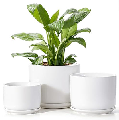 EFISPSS Plant Pots, 4+5+6 Inch Pots for Indoor Plants, Ceramic Planter Pot with Drainage Hole, Flower Pots for Succulent Cactus, Set of 3 - White - color: White