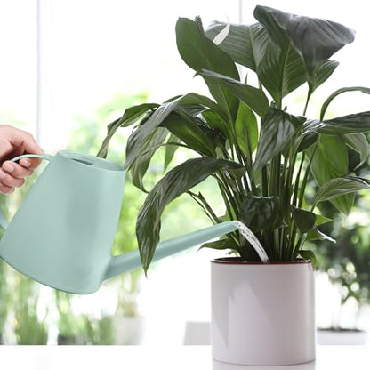 Plastic Watering Can - for Indoor and Outdoor House Plant Garden - with Long Spout - 1/2 Gallon - Light Green - color: Light Green