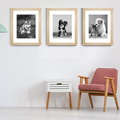 Meetart Picture Frames 11x14 inch Pack of 3 Piece in Plastic Glass MDF Shallow wooden-grain Color Frame, Display Pictures 11x14 8x10, Wall Hanger Vertical and Horizontal. - size: 11x14 3 Pack