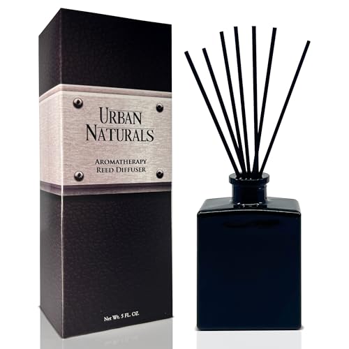 Reed Diffuser Set, Crisp Alpine Air - Bathroom Shelf Décor | Eucalyptus, Citrus, Vanilla, Pine & Balsam Notes, 5 ounce Sleek Black Rectangular Refillable Glass Bottle, Made in the USA - color: Crisp Alpine Air