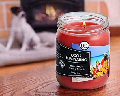 Tropical Fruit Odor Eliminating Highly Fragranced Candle - Eliminates 95% of Pet, Smoke, Food, and Other Smells Quickly - Up to 80 Hour Burn time - 12 Ounce Premium Soy Blend - color: Tropical Fruit