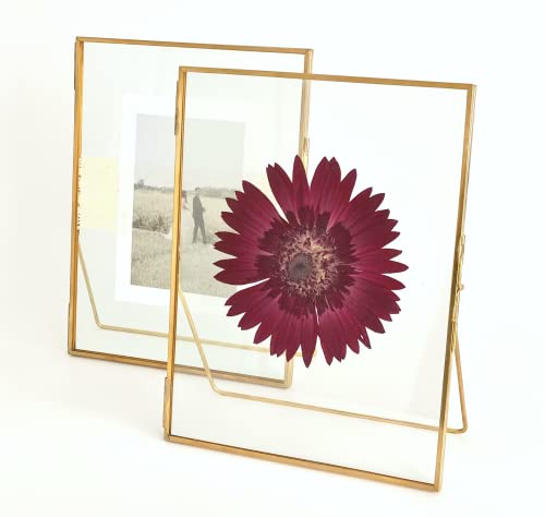 Beedecor Double Glass Frame for Pressed Flowers, Leaf and Artwork,Gold Standing Metal Picture Frames, Set of 2 Pressed Flower Frames with Stand (Gold, 6x8) - color: Gold, size: 6x8