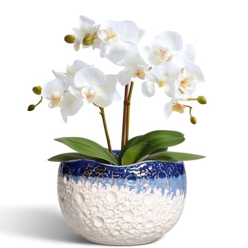 Ceramic Plant Pots, 6 Inch Orchid Pot with Drainage, Beige-Blue | Unique Pots for Plants with Plug, Modern Round Planter for Indoor Plants, Garden House Decor, Housewarming Gifts - color: Beige-blue, size: 6.2 Inch
