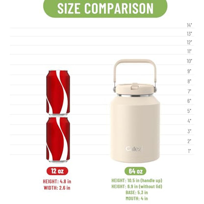 64 oz Insulated Water Bottle with Flip Straw, Vacuum Insulated | Stainless Steel Half Gallon Jug with Top Handle, Leak-Proof Lid, Sweat-Free, Wide Mouth, Keeps Ice Cold up to 34 Hours - color: Charcoal Gray, size: 64 Ounces