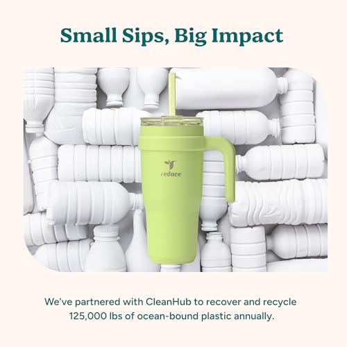 Reduce 24 oz Stainless Steel Tumbler with Handle - Dual-Wall Vacuum Insulated Travel Mug, Sweat-Proof Lid & Reusable Straw - Keeps Drinks Cold for 24 Hrs, Fits Cupholders, Dishwasher Safe-Purple Punch - color: Purple Punch, size: 24 Ounces