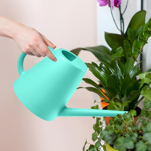 ZXJ Plant Watering Cans for Indoor and Outdoor Home Garden Plants - with Long Spout - SkyBlue - 1/2 Gallon - color: Skyblue