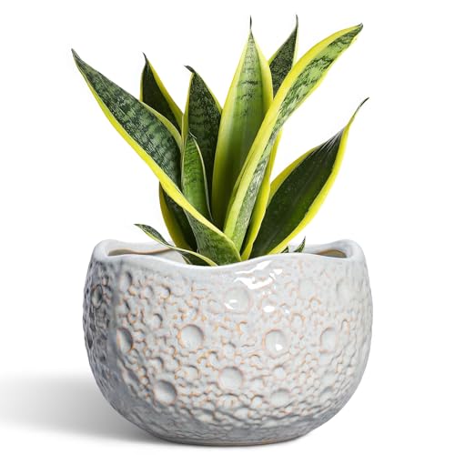 Ceramic Pots for Plants, 8 Inch Planters for Indoor Plants, Grey | Modern Ceramic Flower Pots with Drainage Hole and Plug, Round Unique Plant Pot, Porch Office Decor, Garden Gifts - color: Gray, size: 8.2 Inch