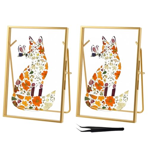 4x 6'' Gold Floating Frame Set Of 2 For Photo Sizes 2x3'',3.5x 5'',4x6'',Brass Metal Lace Edge Frames,Double Glass Adjustable Tabletop/Shelf Photo Frame, Christmas Framed Wall Art Craft Ornaments Classy Gifts - color: Gold-Re