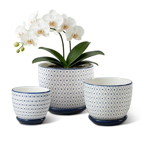 3.5"+4.6"+5.6" Ceramic Pots for Indoor Plants Set of 3 | Flower Pots with Drainage Holes and Saucers - Succulents Plant Pots for Orchid, Cactus, Pothos, Herbs, Vintage Blue, Star - color: Vintage Blue - Star