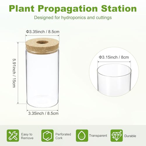 M METERXITY 1 Pack Glass Planter Terrarium with Wooden Cover, Desktop Plant Propagation Station Clear Vase for Hydroponic Plants Propagation/Home Garden Decor/Plant Lover [3.35'' x 5.91''] - size: 3.35'' x 5.91''
