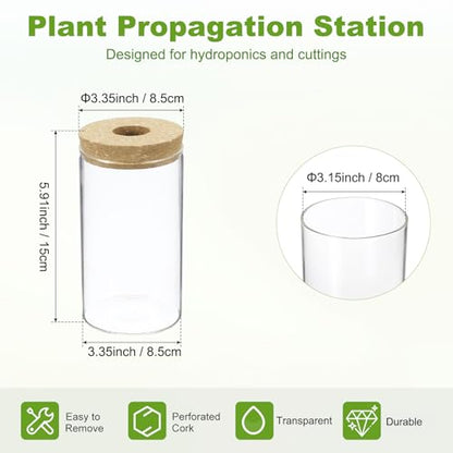 M METERXITY 1 Pack Glass Planter Terrarium with Wooden Cover, Desktop Plant Propagation Station Clear Vase for Hydroponic Plants Propagation/Home Garden Decor/Plant Lover [3.35'' x 5.91''] - size: 3.35'' x 5.91''