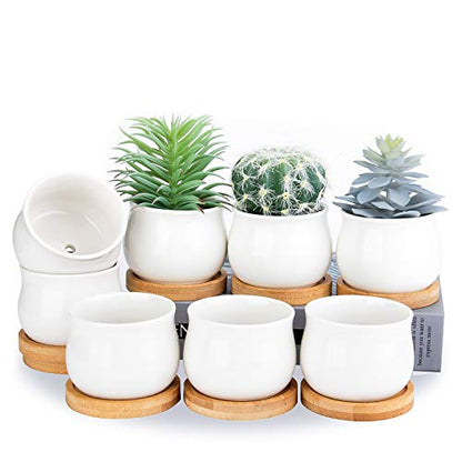 SHECIPIN Succulent Plant Pot, White Mini 2.6 inch Ceramic Flower Planter Pot with Bamboo Tray, Pack of 8 - Plants Not Included - color: White