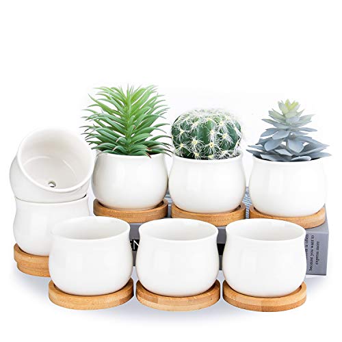 SHECIPIN Succulent Plant Pot, White Mini 2.6 inch Ceramic Flower Planter Pot with Bamboo Tray, Pack of 8 - Plants Not Included - color: White
