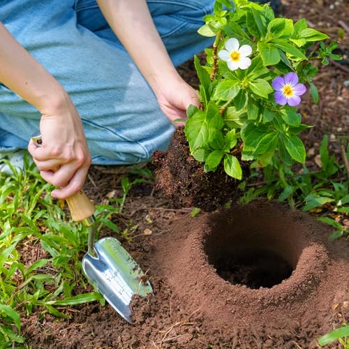Berry&Bird Weeding Trowel, Multi- Use Hand Shovel with Serrated Blade Stainless Steel Garden Trowel Plus Size Potting Trowel with Wooden Handle for Transplanting, Digging, Measuring, Cutting Roots - color: Weeding Trowel