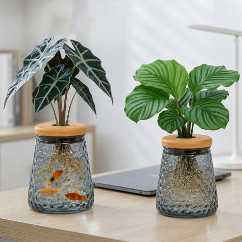 Desktop Clear Hydroponic Plant Vase, Transparent Water Plant Jars with Lid, Plants Container for Desk, Indoor, Home, Office Decor and Outdoor for Gardening Gifts to Plants Lovers, Dots Black - color: Black Dots-bell