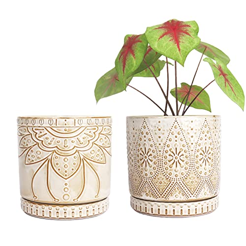 6 Inch Indoor Plant Pots with Drainage Holes and Saucers, Ceramic Planter for Plants, Flower Pot - Set of 2 - color: Creamy White, size: 6Inch+6Inch