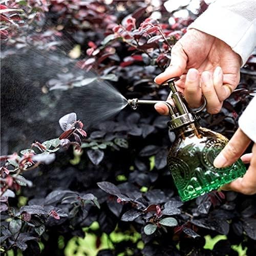 Glass Plant Mister Spray Bottle 200ML Watering Bottle with Top Pump Watering Can for Indoor Outdoor House Plants,Flowers (Blue-Purple)