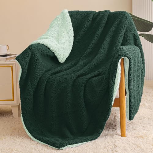 Exclusivo Mezcla Reversible Sherpa Fleece Throw Blanket, 50x60 Inches | Soft Plush Cozy Throws for Sofa, Couch, Bed, Fluffy Decorative Thick Blankets for Living Room, Forest / Mint Green - color: Forest / Mint Green, size: Throw ( 50x60 IN )
