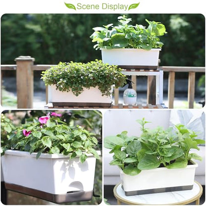 Window Box Planter 8 Pcs, 17 Inches Rectangle Flower Pots with Drainage Holes & Trays, Vegetable Planters for Windowsill Patio Garden Balcony Home Indoor Outdoor (White, 16 * 7 * 6 inch) - color: White