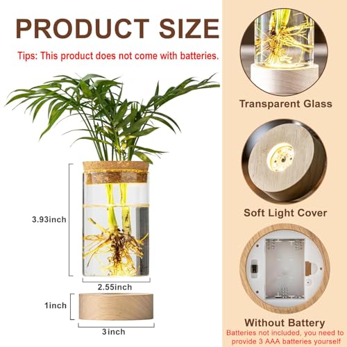 Glass Plant Propagation Stations, Propagation Vases for Plants with Ambient Light Base, Hydroponic Vase for Home & Office Windowsill Tabletop Decoration Desktop Vases for Living Room, Bedroom (9)