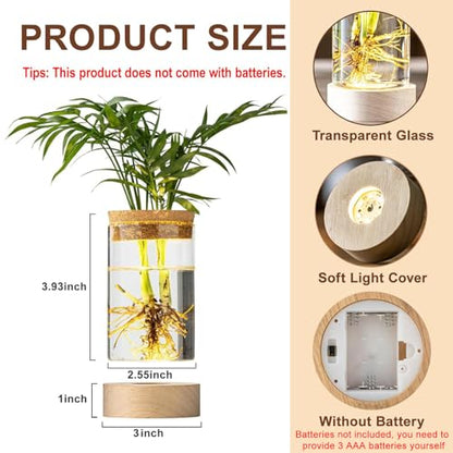 Glass Plant Propagation Stations, Propagation Vases for Plants with Ambient Light Base, Hydroponic Vase for Home & Office Windowsill Tabletop Decoration Desktop Vases for Living Room, Bedroom (9)