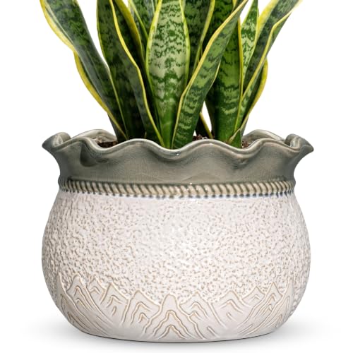 Ceramic Planter, 10 Inch Ceramic Pots for Plants, Beige-Grey | Decorative Flower Pots for Indoor Plants, Unique Plant Pot with Drainage Hole, Patio Decor, Gifts for Gardeners Woman - color: Beige-grey, size: 10 Inch
