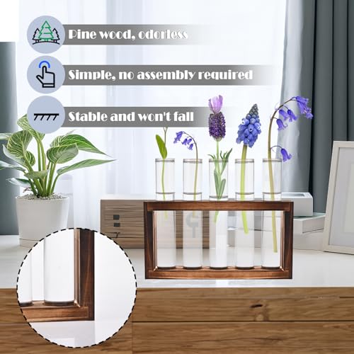 Tigvio Desktop Glass Plant Propagation Station (5 Tubes) | with 5 Test Tubes in Wooden Stand - Hydroponic Plants Cutting Office Home Decoration and Garden Decor Terrarium - size: 5 Tubes
