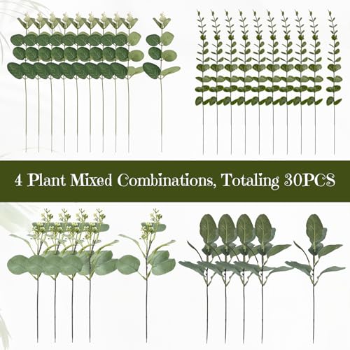 30 Pcs Eucalyptus Stems Bulk, 4 Kinds Mixed Artificial Silver Dollar Eucalyptus Greenery Branches for Wedding Centerpieces, Floral Arrangements, Vase Bouquet Home Decor