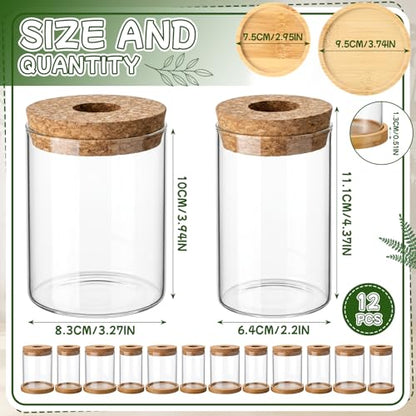 Hushee 12 Pcs Plants Propagation Stations Glass Propagation Jars with Hole Lid Hydroponic Terrarium Vases Gifts for Plant Lovers Home Indoor Office Tabletop Decoration, 2 Sizes