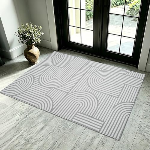 2'x3' Washable Entryway Rug Small Area Rugs Modern Geometric Accent Rug Gray Abstract Line Art Pattern Throw Rugs Non-Slip Low Pile Mat for Door Bedroom Bathroom Kitchen or Dorm Room - color: Geometric 02--gray