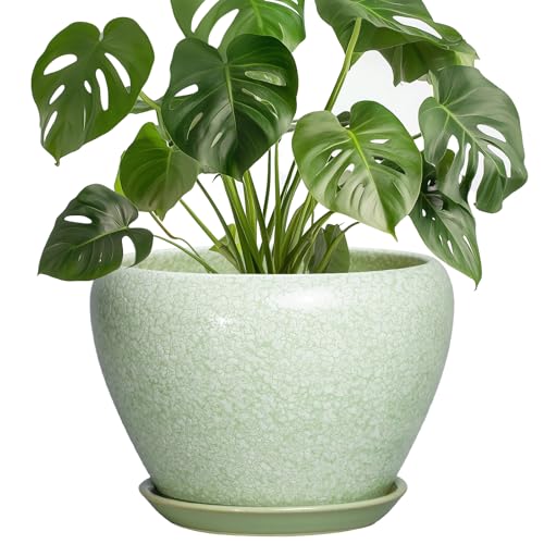 Ceramic Planter, 8 Inch, Crackle Light Green | Drainage Hole and Saucer, Indoor Outdoor Use, Decorative Flower Pot, Office Decor - color: Crackle Light Green, size: 8 Inch