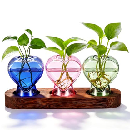 Zhehao 3 Pcs Plant Propagation Stations with Wooden Stand Heart Shaped Propagation Vases for Indoor Plants Home Office Desk Decor Gardening Gifts for Women Mom Birthday Gifts for Plants Lovers