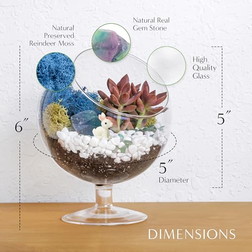 Creations by Nathalie DIY 6" Chalice Terrarium Kit Build Your Own Glass Terrarium for Adults & Teens, DIY Terrarium Kit with Live Moss, Crystals, Soil (Plant Not Included) | DIY chalice glass terrarium kit with moss and tools, including supplies for creat